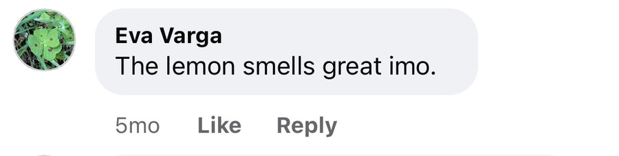 Customer comment screenshot
